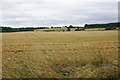 Harvested field near Kingswood Farm