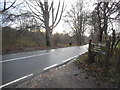 Mill Way at the entrance to Nower Wood