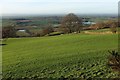 SE4598 : Hillside pasture above Mount Grace Priory by Derek Harper