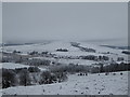 Carmichael from Carmichael Hill