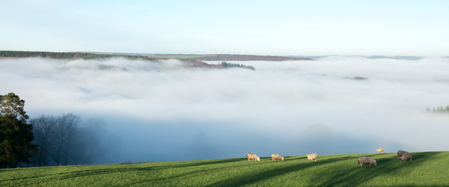 Temperature inversion in valley of Bedburn Beck