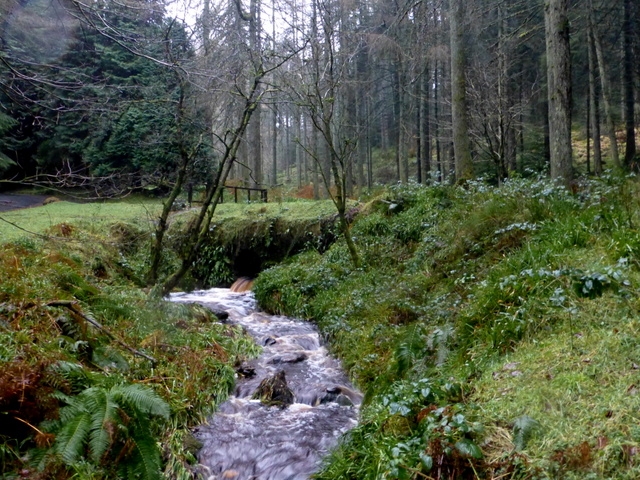 Gushing stream, Gortin Glens Forest Park © Kenneth Allen cc-by-sa/2.0 ...