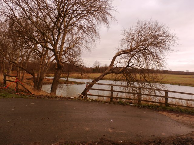 Trees and Fish Ponds near Tilts