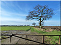 Farm track off Crabtree Lane