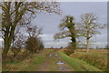SE8108 : Farm track across North Moor by Tim Heaton