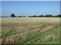 Stubble field off Sheepgate Lane