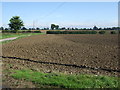 Farmland near Firtree Farm