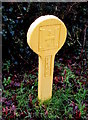 Yellow hydrant marker detail, Mathon Road, Colwall