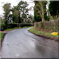 Yellow grit box near a bend in Mathon Road, Colwall