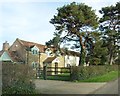 Cottages on Hare Lane