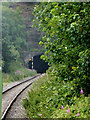 Cheddleton Tunnel portal near Leekbrook, Staffordshire