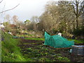 Lawn Vista Allotments