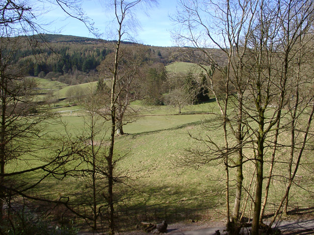 View from Ridding Wood, Grizedale Forest