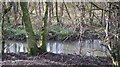 The Mells Stream between Edford and Ham