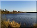 SE2925 : Ardsley Reservoir, Tingley, Wakefield by I Love Colour
