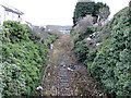 Rosyth Docks railway line