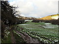 Llwybr Cae Mawr / Cae Mawr path