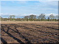 Empty field south of Wood Farm