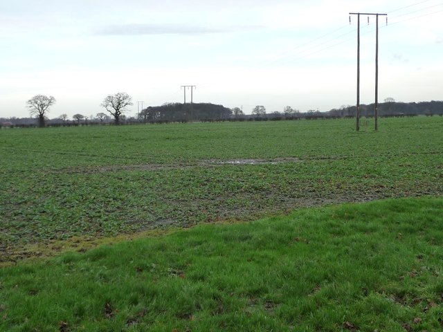 Power Lines Crossing Camblesforth Common © Christine Johnstone Geograph Britain And Ireland 8126