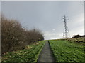 Footpath and pylon