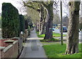 Trees and path along Hinckley Road