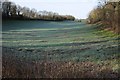 ST9396 : Field on a frosty January morning by Philip Halling