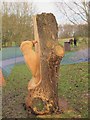 SJ7965 : Carved woodpecker at Brereton Heath by Stephen Craven