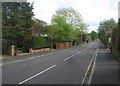 Looking along Chestnut Grove