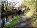 Whitehurst Tunnel, Llangollen Canal