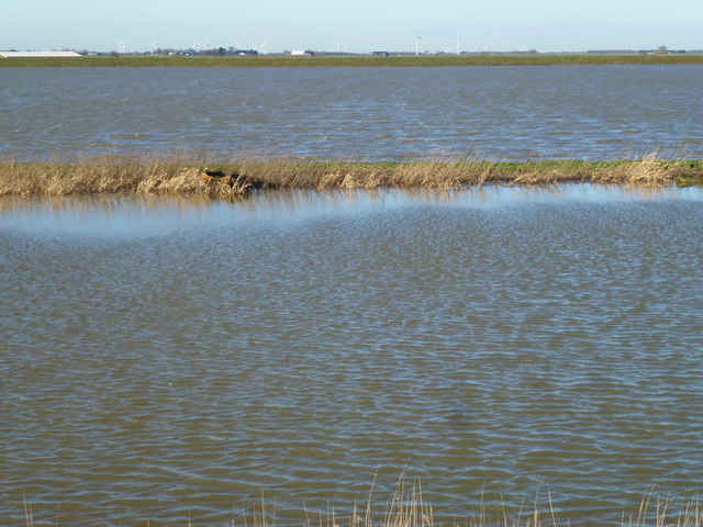 Almost submerged - The Ouse Washes