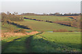 Looking along a farm track near Salmons, Hawkspur Green, Little Bardfield