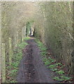 Crees Lane Vicinity, Farndon, Notts.