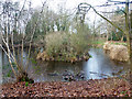 Pond in Gravelpit Wood