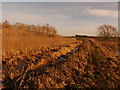 Flood Plain near Bawtry