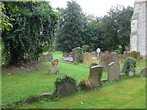 SP5621 : St Mary, Chesterton: churchyard (b) by Basher Eyre
