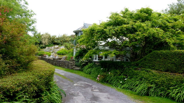 File:A field of flowers - geograph.org.uk - 1389946.jpg