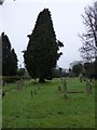 All Saints Churchyard (9)