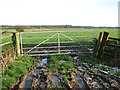 Gate into a cattle pasture south of St Olaves