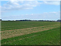TQ4790 : Flat fields by Robin Webster