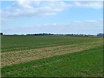 TQ4790 : Flat fields by Robin Webster