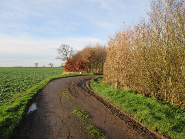 Track  and Bridleway  to  Woodside  Farm