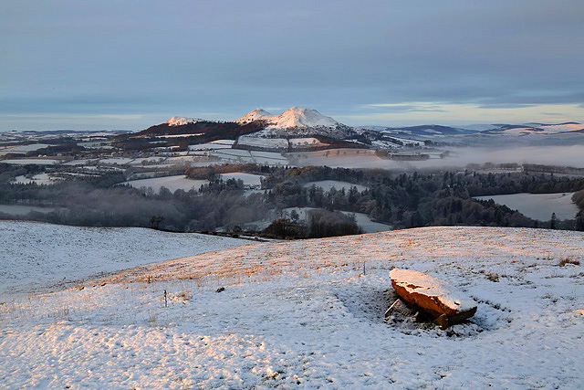 Bemersyde Hill in mid-January