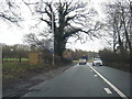 A51 nears the A49 roundabout