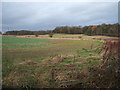 Farmland near Ropemoor