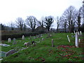 St Andrew, Jevington: churchyard (vi)