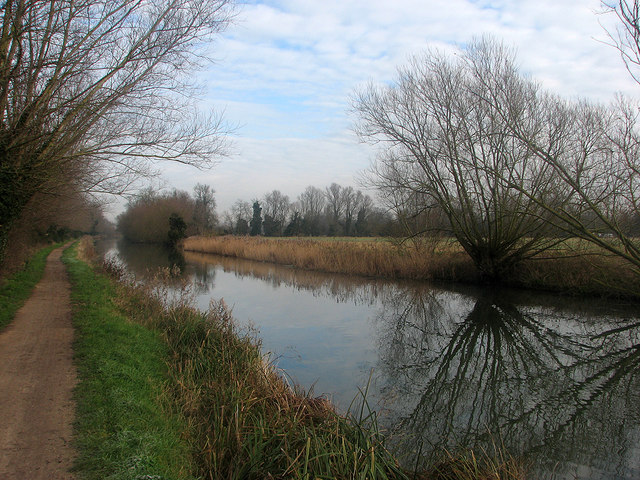 Reeds by the river © John Sutton :: Geograph Britain and Ireland