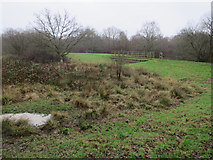 TQ1859 : Flow attenuation scheme, The Rye, Ashtead Common by Hugh Venables