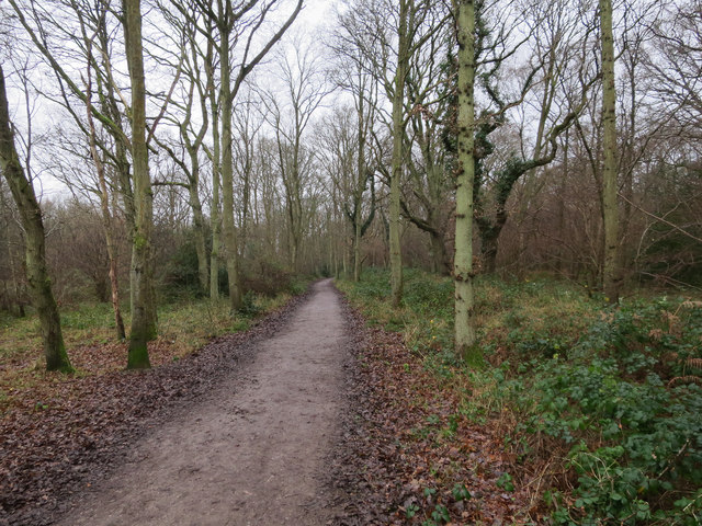 Path on Ashtead Common © Hugh Venables cc-by-sa/2.0 :: Geograph Britain ...