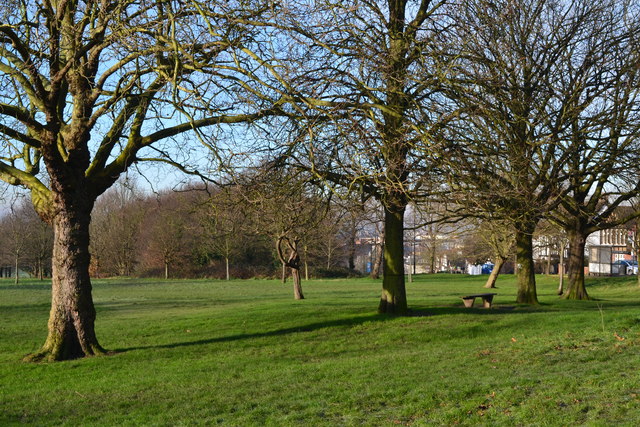 Line of trees on Streatham Common © David Martin :: Geograph Britain ...