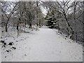 Crow Wood, Cumbernauld Glen Nature Reserve